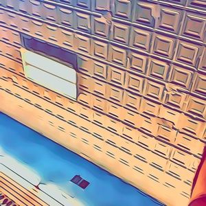 Meet your Posher, Terrell